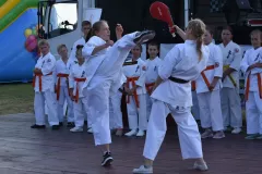 Pokazy karate