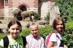 Zdjęcie ze słoniami