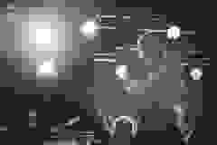 65