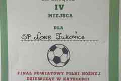 ceffec34-7d62-4d66-9fac-fb1a1744bc78