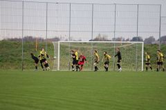 IMG_2356