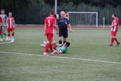 IMG_8884
