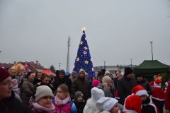 DSC_6479_wynik_1