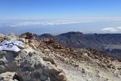 Lisek-na-wierzcholku-El-Teide_1