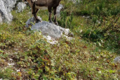 IMG-20231003-WA0005