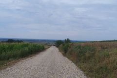 IMG_20240717_114428408_1
