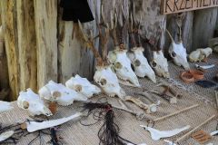 IMG_5426_1
