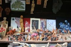 IMG_5568_1