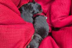 Zdjecie-WhatsApp-2025-09-30-o-14.32.09_2f4cfc18