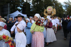 wieniec19