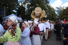 wieniec20