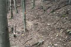 mvarin556324877_1155250396453648_5951323789649146180_n